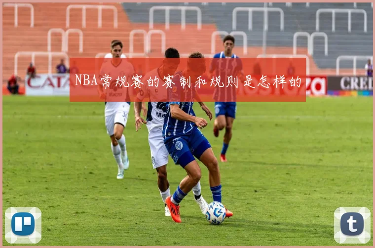NBA常规赛的赛制和规则是怎样的