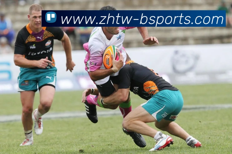 英超与德甲各支球队数量与特点对比分析